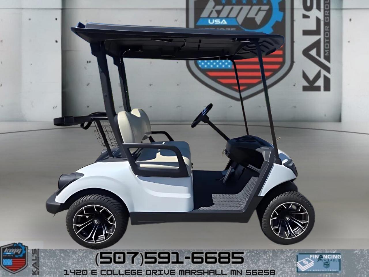 Yamaha Drive 2 Electric NEW Batteries  2017