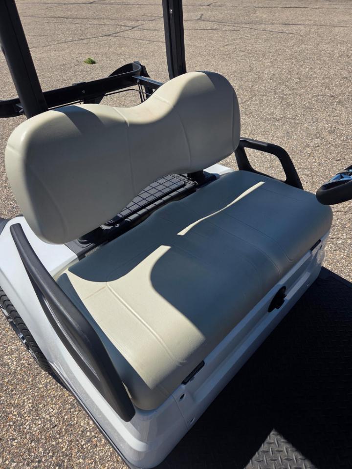 Yamaha Drive 2 Electric NEW Batteries  2017