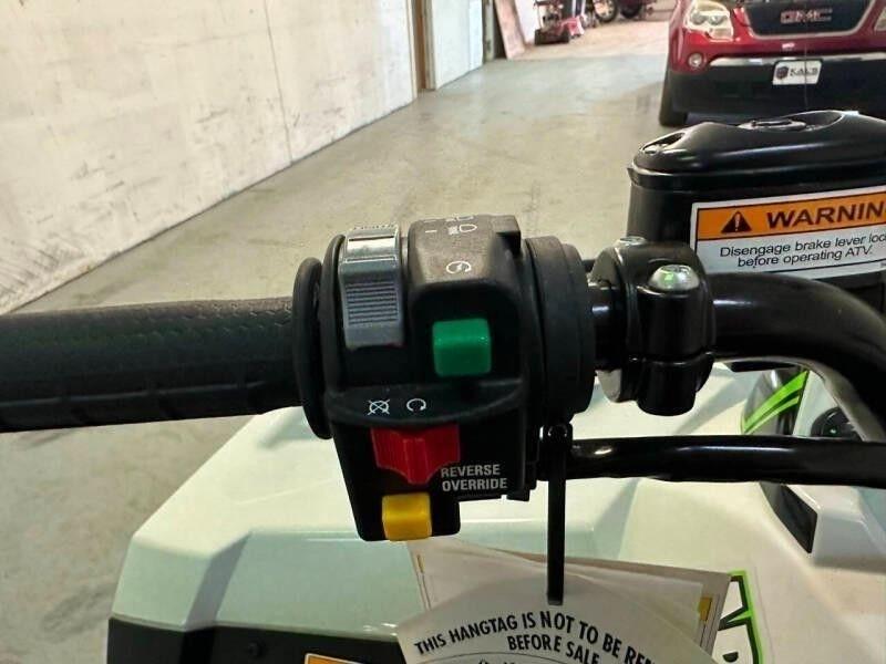 Arctic Cat Alterra 600 XT EPS  2024