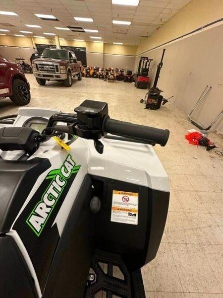 Arctic Cat Alterra TRV 500  2024