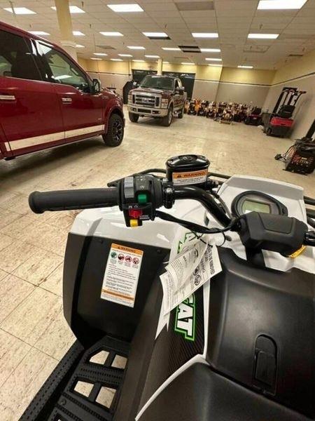Arctic Cat Alterra TRV 500  2024