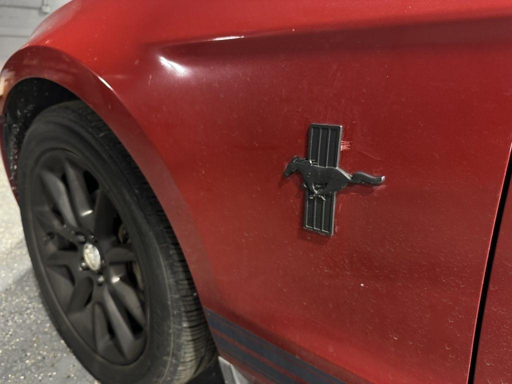 Ford Mustang V6 Coupe 2010