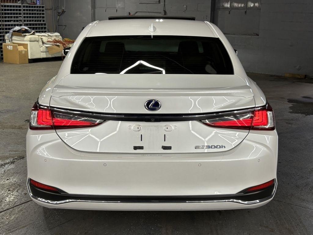 Lexus ES 300h Base 2019