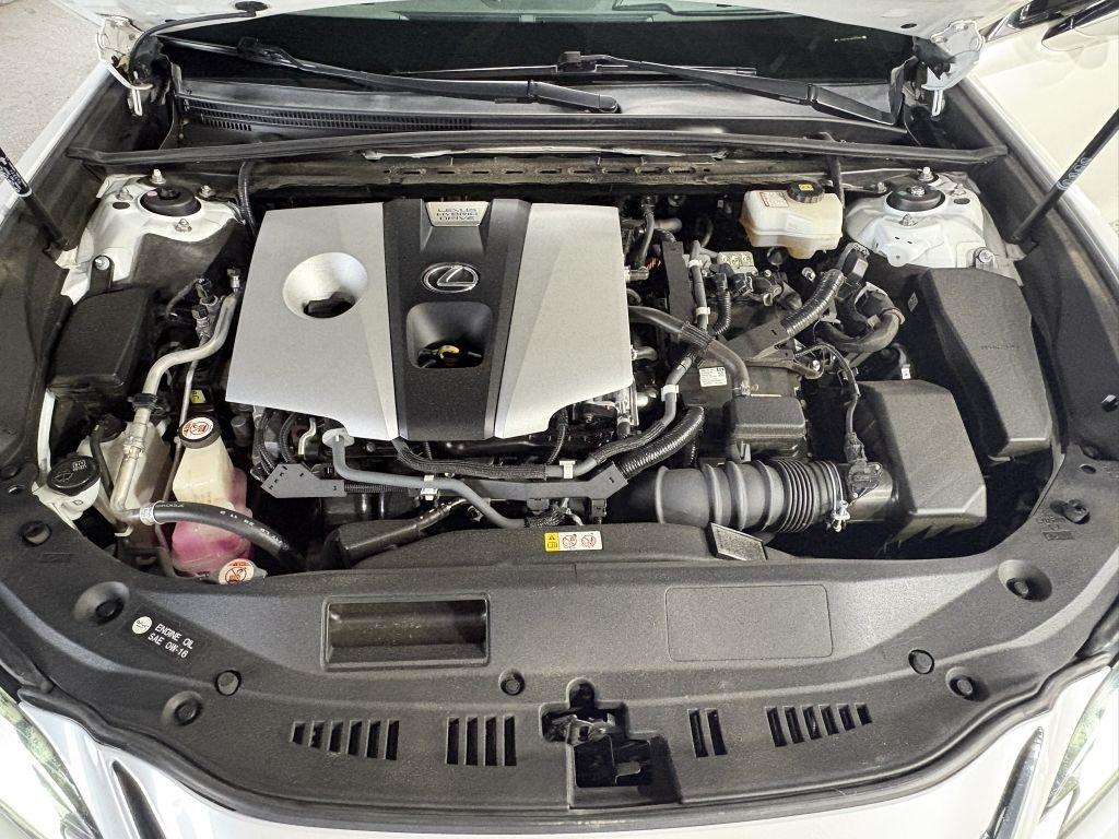 Lexus ES 300h Base 2019