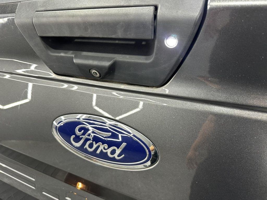 Ford F-150 XL SuperCrew 5.5-ft. Bed 4WD 2019