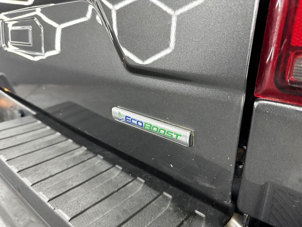 Ford F-150 XL SuperCrew 5.5-ft. Bed 4WD 2019