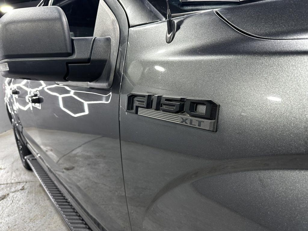 Ford F-150 XL SuperCrew 5.5-ft. Bed 4WD 2019