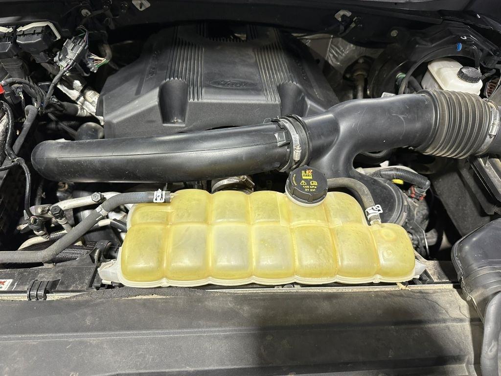 Ford F-150 XL SuperCrew 5.5-ft. Bed 4WD 2019