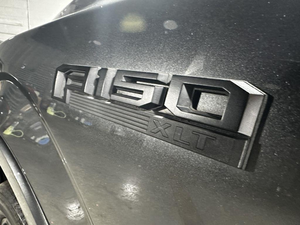 Ford F-150 XLT SuperCrew 6.5-ft. Bed 4WD 2019
