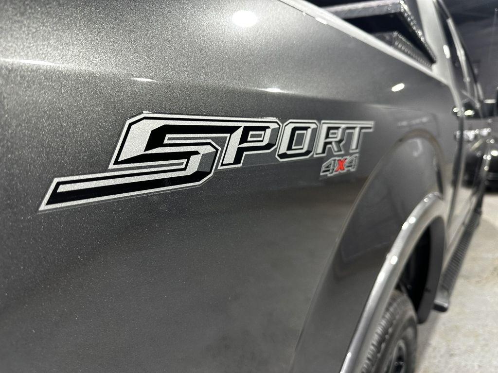 Ford F-150 XLT SuperCrew 6.5-ft. Bed 4WD 2019