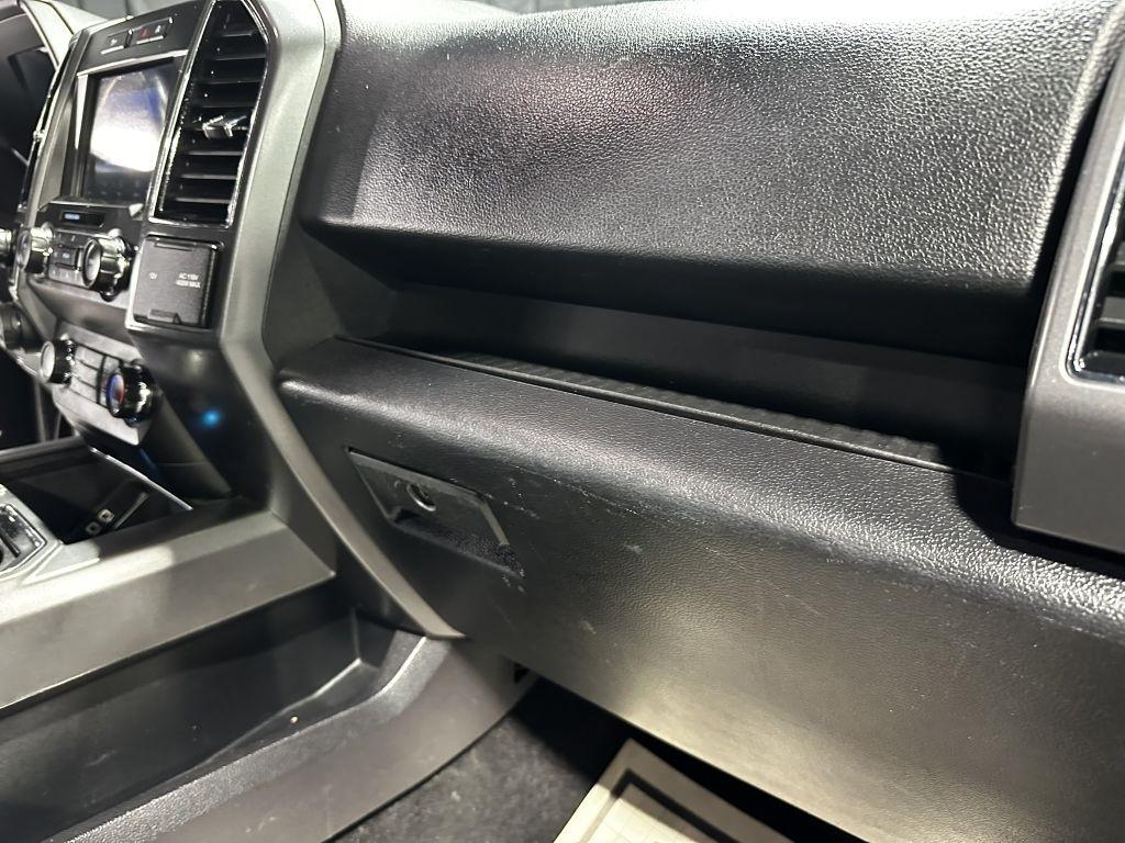 Ford F-150 XLT SuperCrew 6.5-ft. Bed 4WD 2019