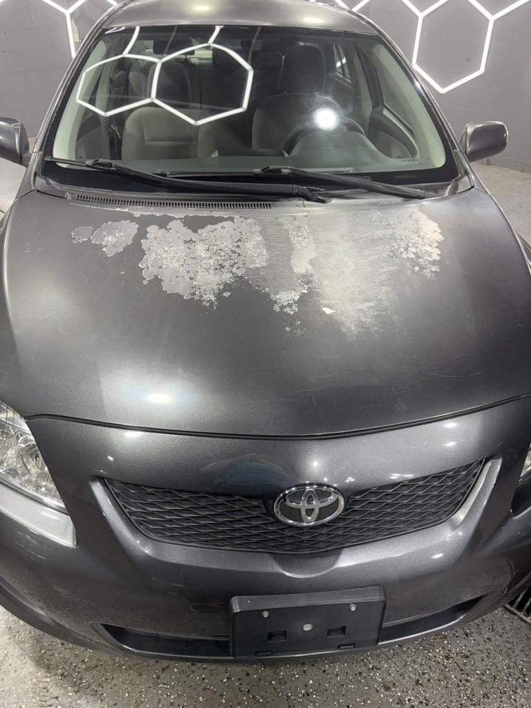 Toyota Corolla LE 2010