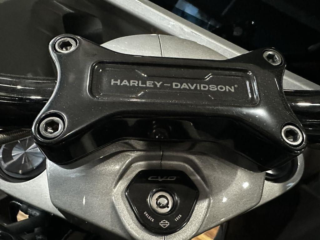 Harley-Davidson FLTRXSE  2023
