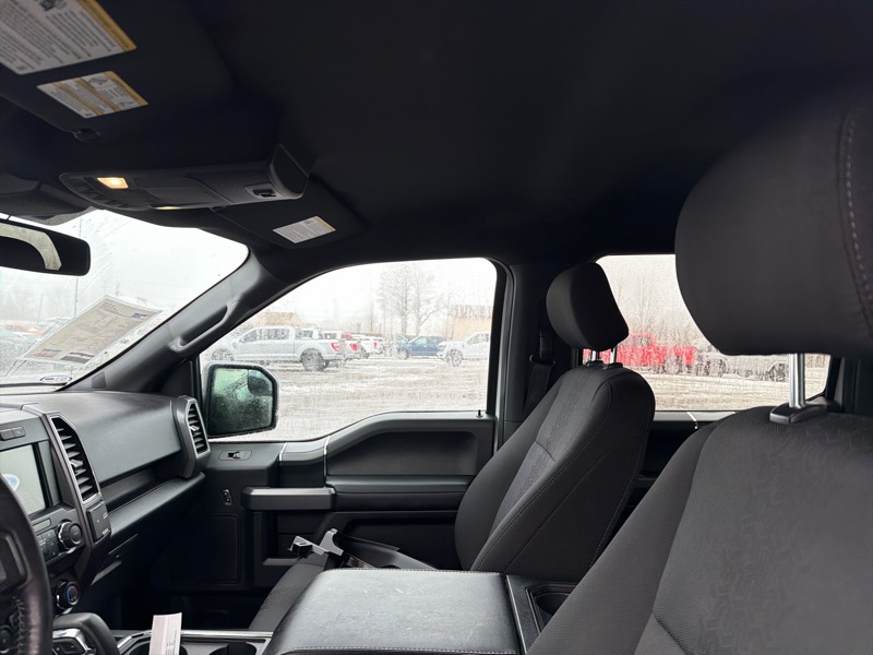 Ford F-150 XLT SuperCrew 6.5-ft. Bed 4WD 2020