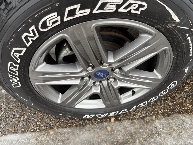 Ford F-150 XLT SuperCrew 6.5-ft. Bed 4WD 2020