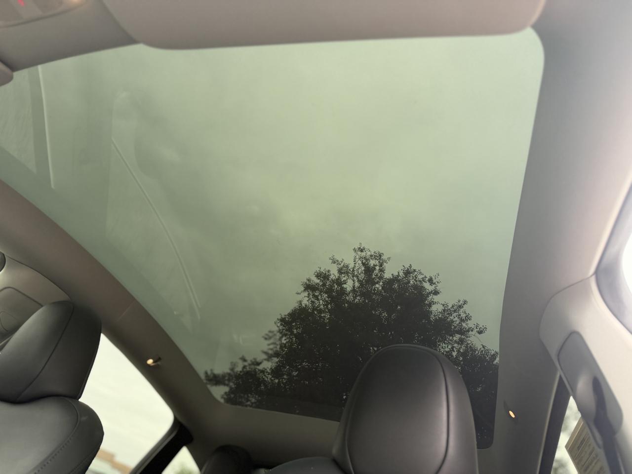 Tesla Model Y  2023