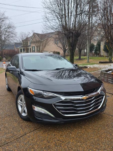 Chevrolet Malibu 1LT 2024