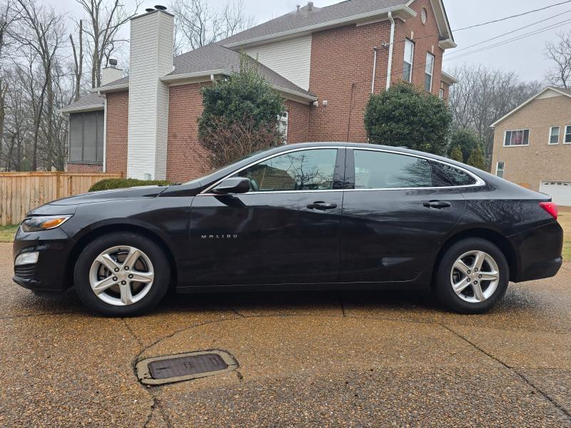 Chevrolet Malibu 1LT 2024