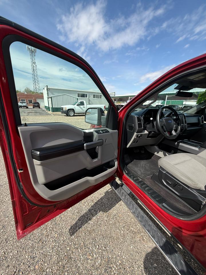 Ford F-150 XLT SuperCrew 6.5-ft. Bed 4WD 2019