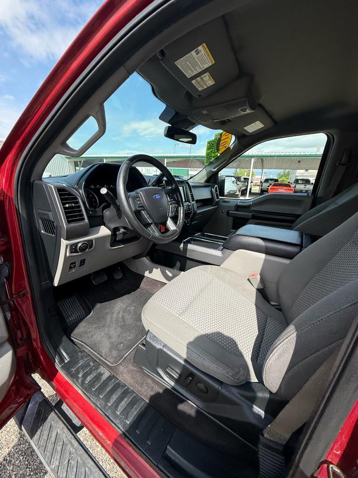 Ford F-150 XLT SuperCrew 6.5-ft. Bed 4WD 2019