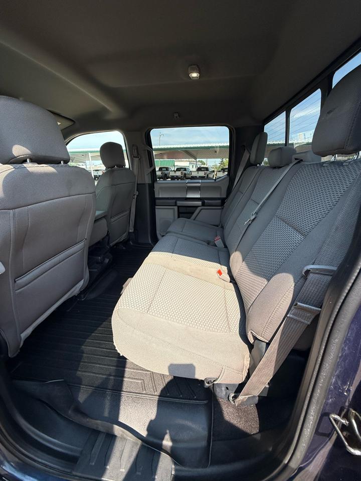 Ford F-150 XLT SuperCrew 5.5-ft. Bed 4WD 2020