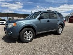 2011 Ford Escape 