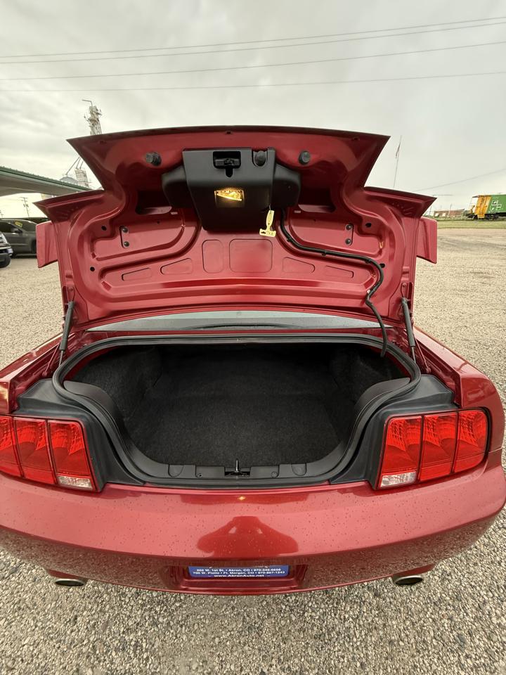 Ford Mustang GT Deluxe Coupe 2007