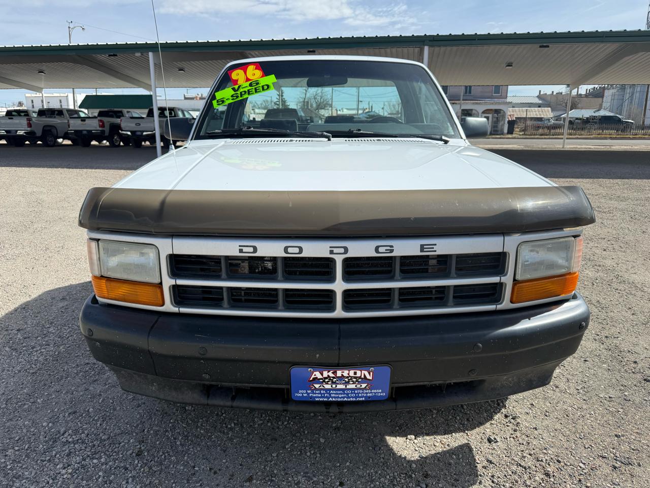 Dodge Dakota WS Reg. Cab 8-ft. Bed 2WD 1996