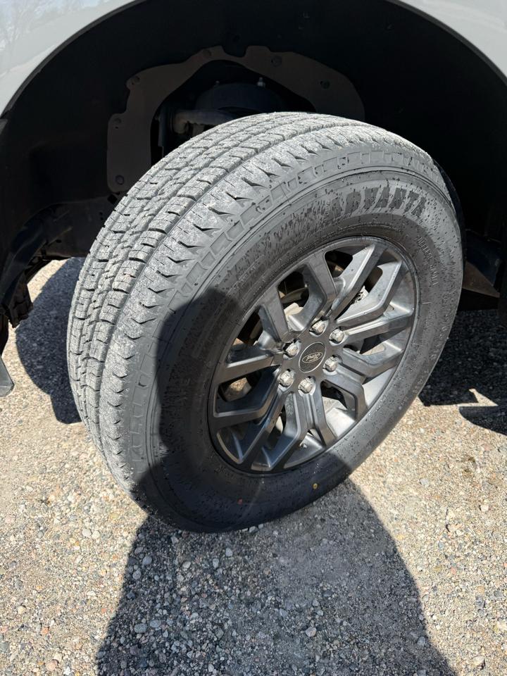 Ford F-150 XLT 4WD SuperCrew 5.5' Box 2021