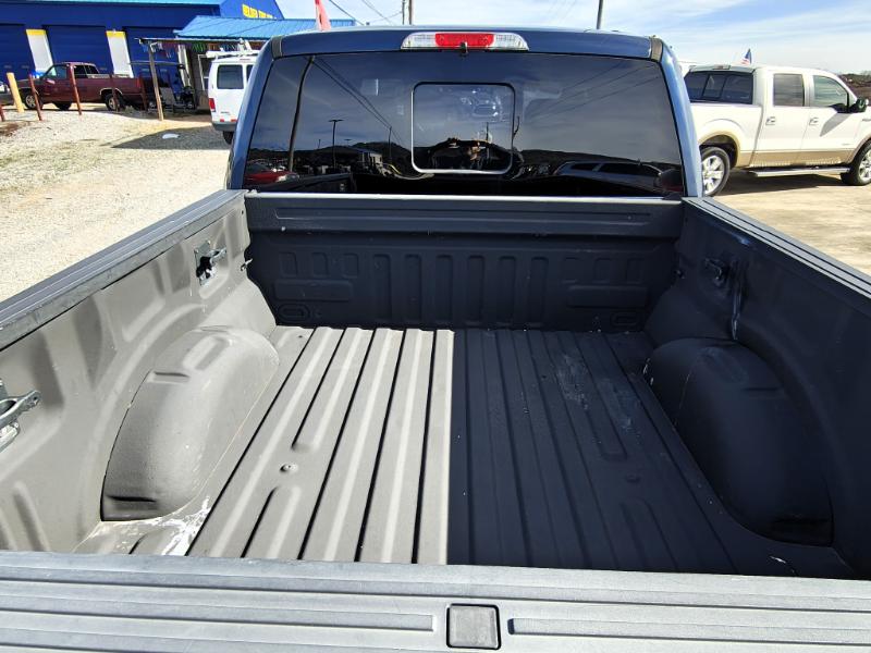 Ford F-150 Platinum 4WD SuperCrew 5.5' Box 2015