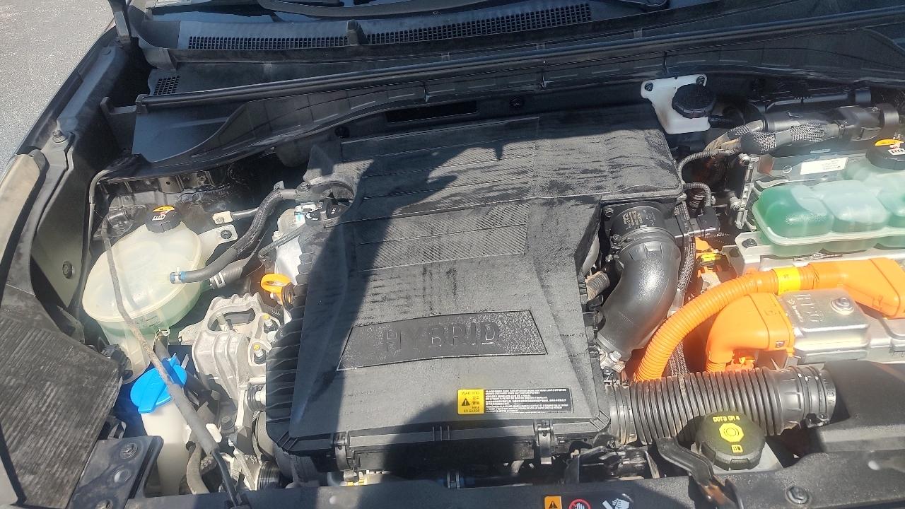 Kia Niro FE 2020