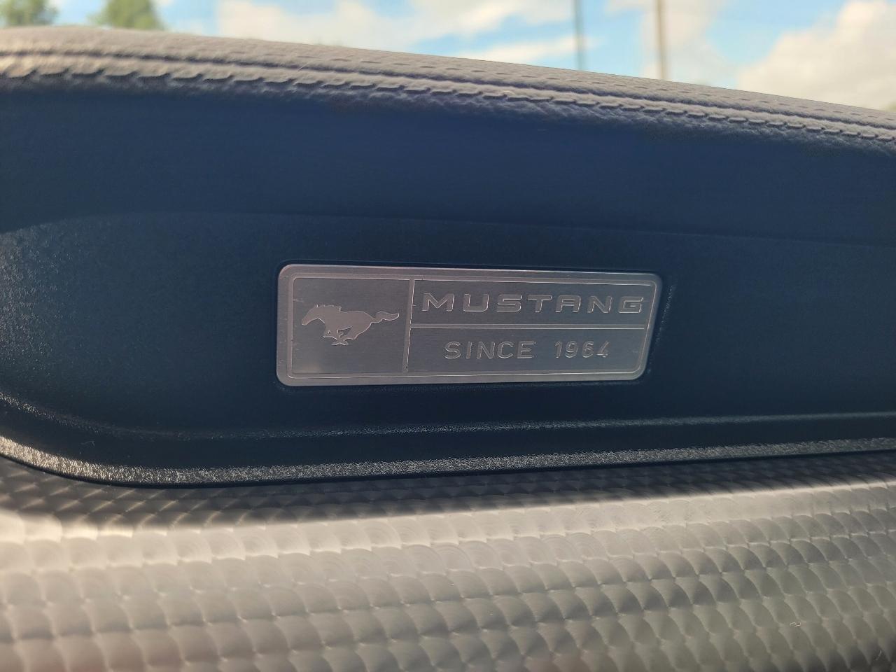 Ford Mustang GT Coupe 2017