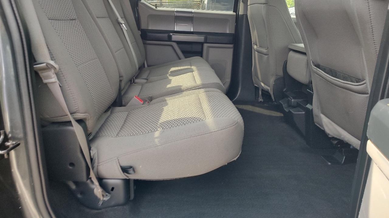 Ford F-150 XLT SuperCrew 6.5-ft. Bed 4WD 2020