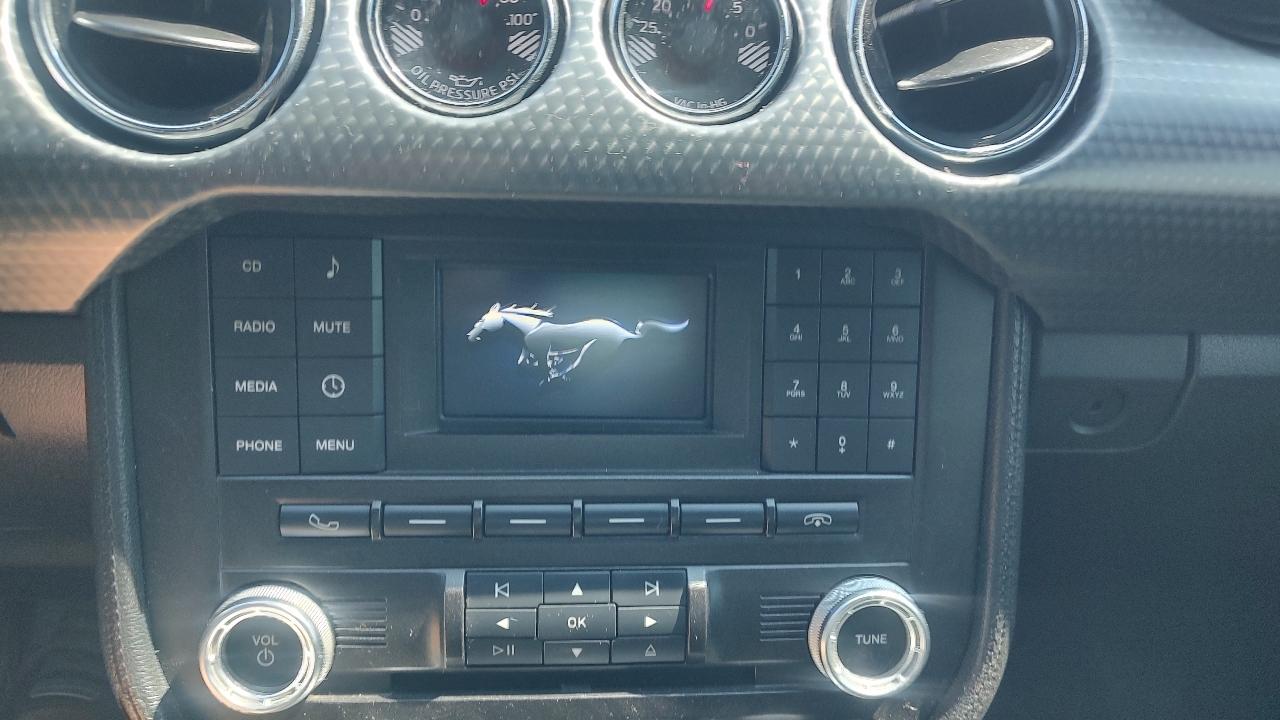 Ford Mustang GT Coupe 2017