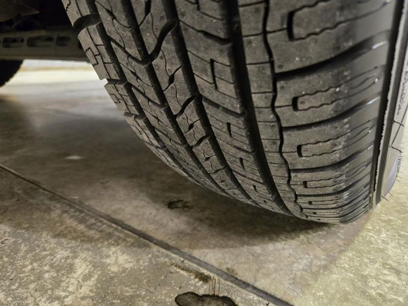 Dodge Grand Caravan  2019