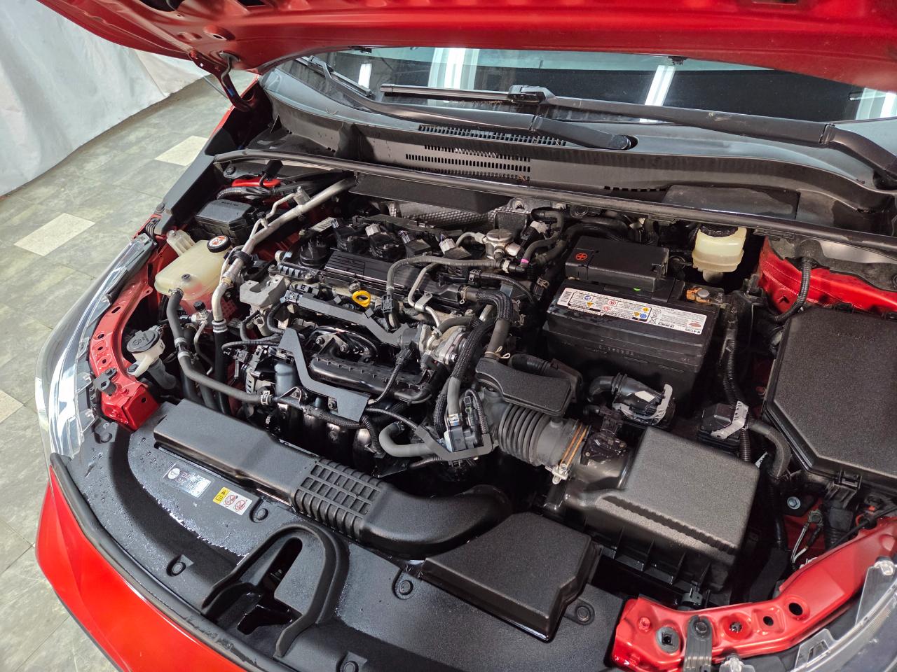 Toyota Corolla XLE CVT 2019