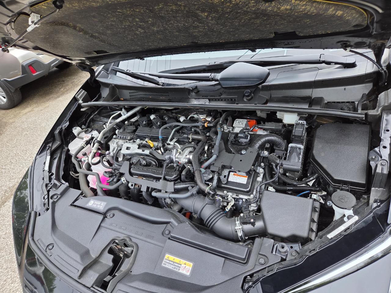 Toyota Prius LE 2024