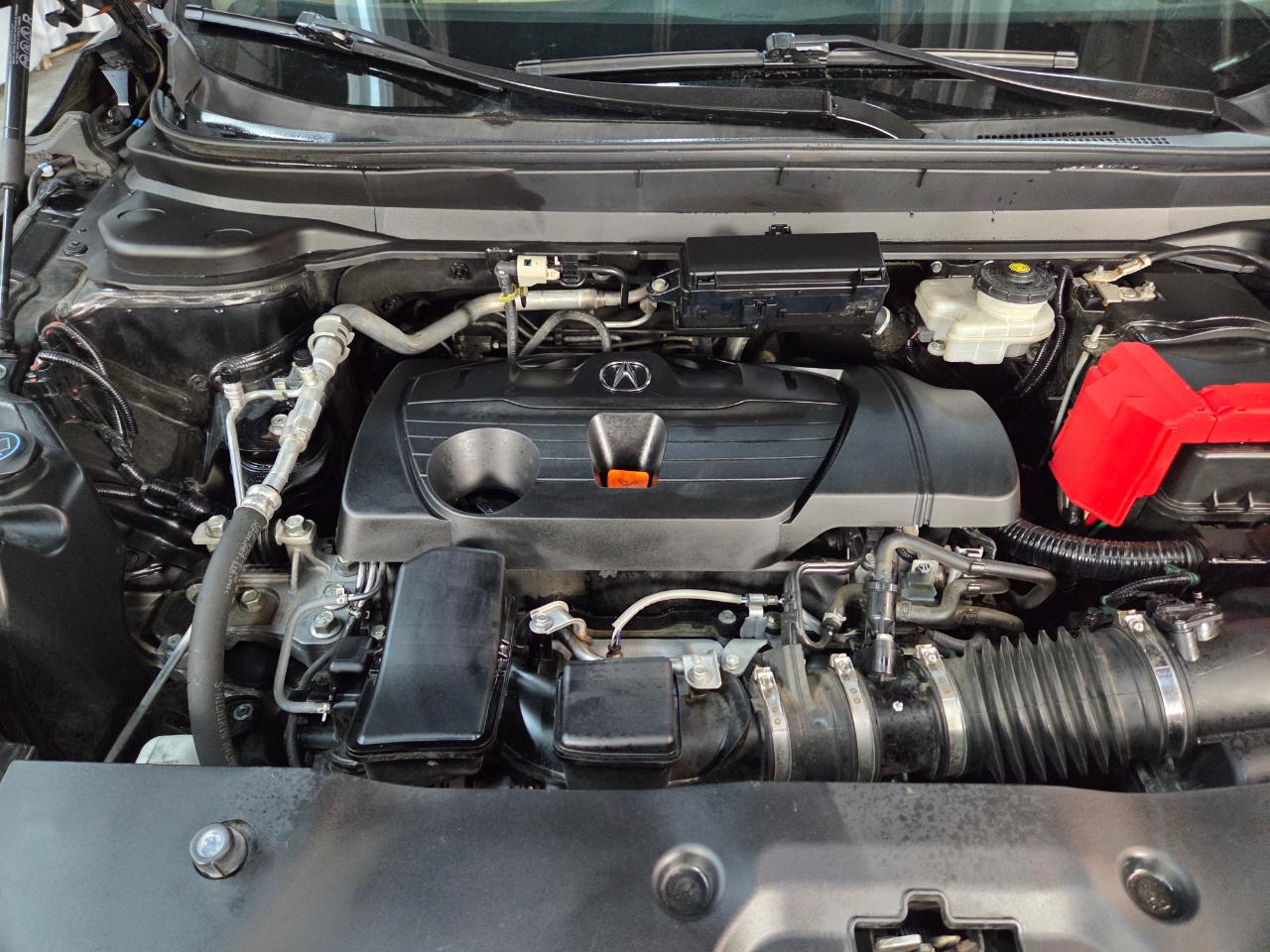 Acura RDX SH-AWD 2019