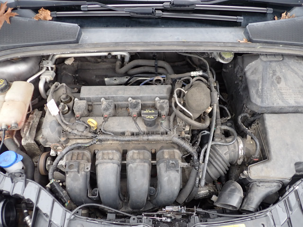 Ford Focus SE Sedan 2014