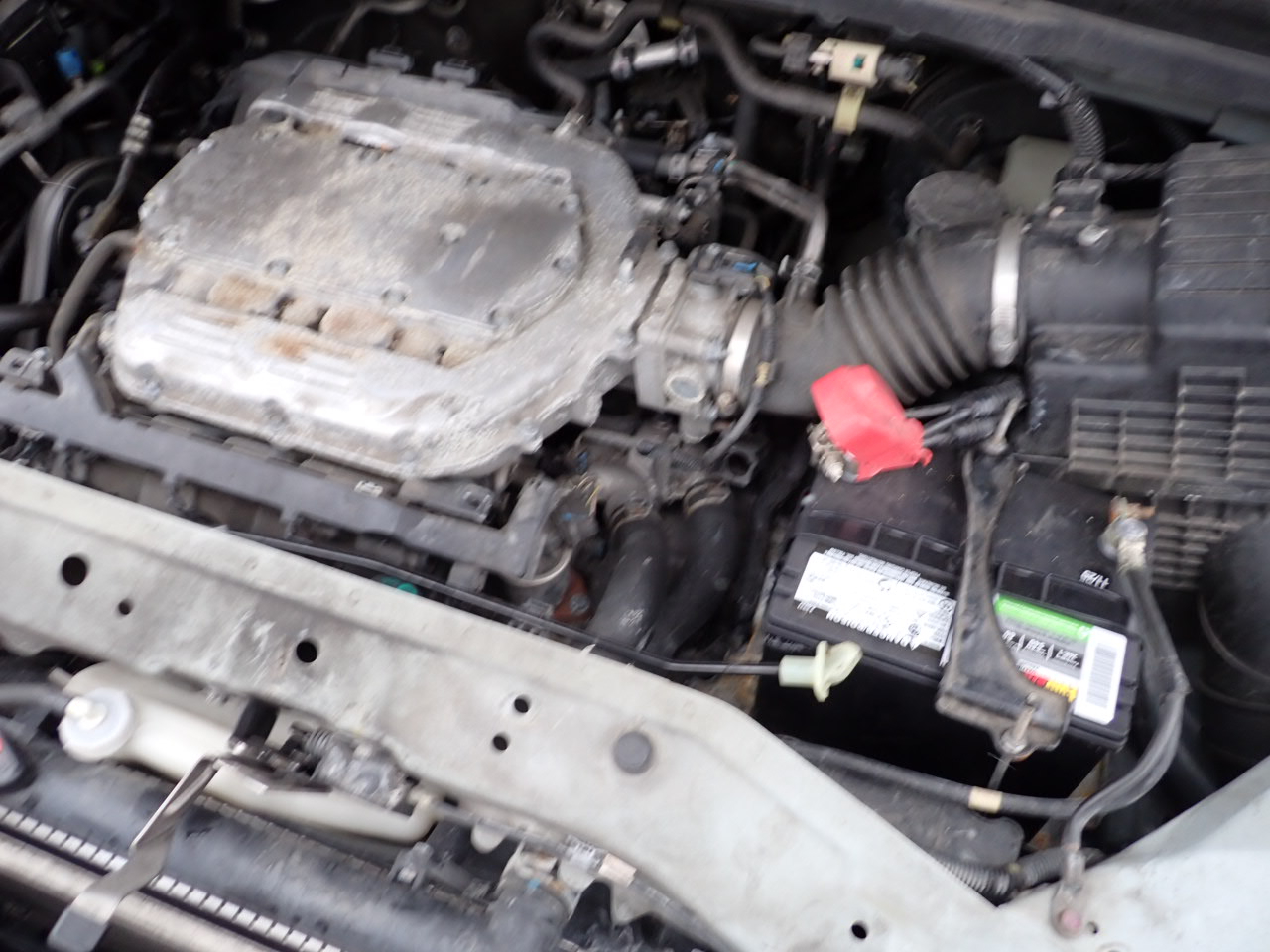 Honda Odyssey Touring 2010