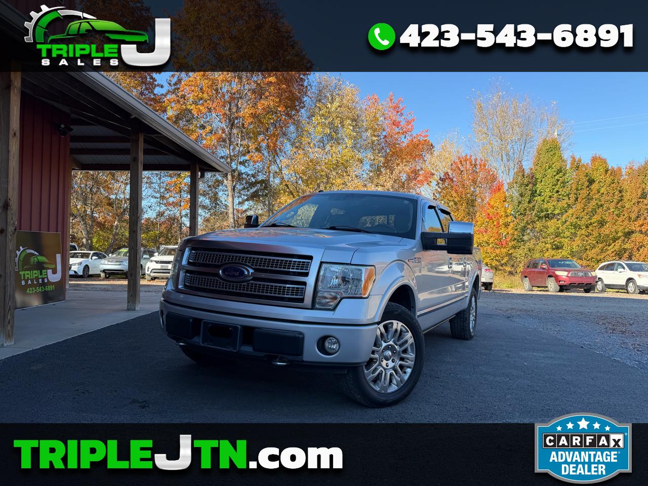 2009 Ford F-150 Platinum
