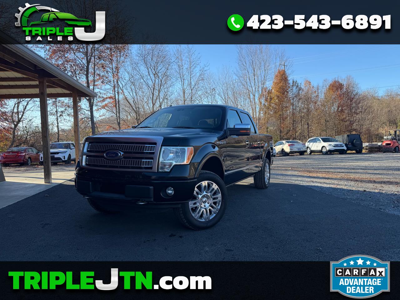 2011 Ford F-150 XLT SuperCrew 6.5-ft. Bed 4WD