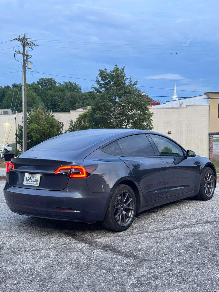 Tesla Model 3  2023