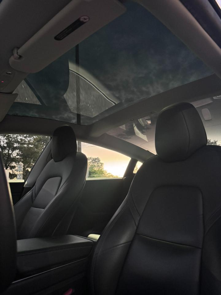 Tesla Model 3  2020