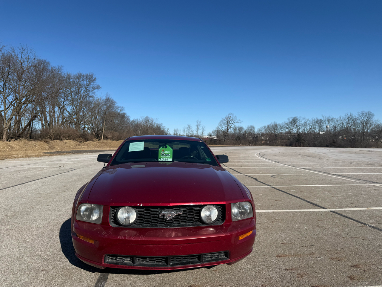 Ford Mustang GT Deluxe Coupe 2006
