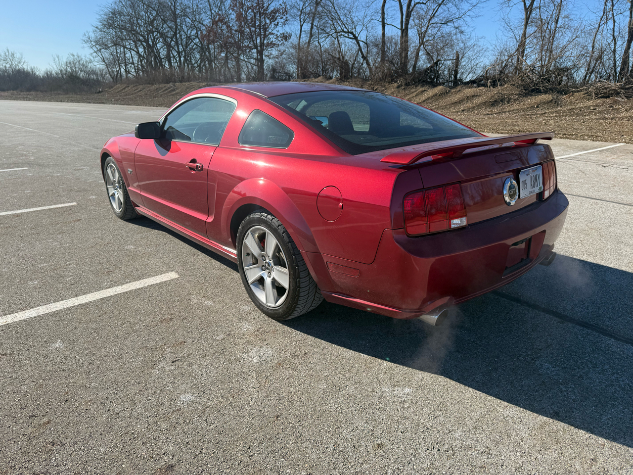 Ford Mustang GT Deluxe Coupe 2006
