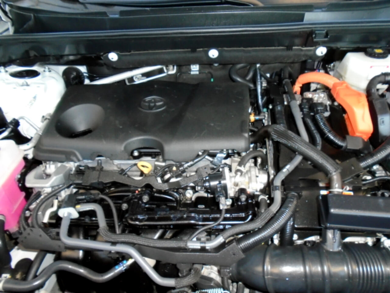 Toyota RAV4 Hybrid LE AWD (Natl) 2024