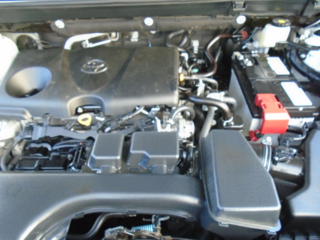 Toyota RAV4 LE AWD (Natl) 2024