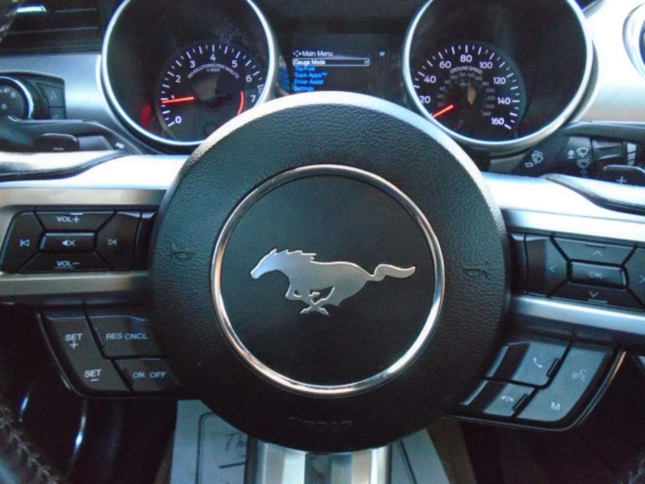 Ford Mustang EcoBoost Convertible 2019