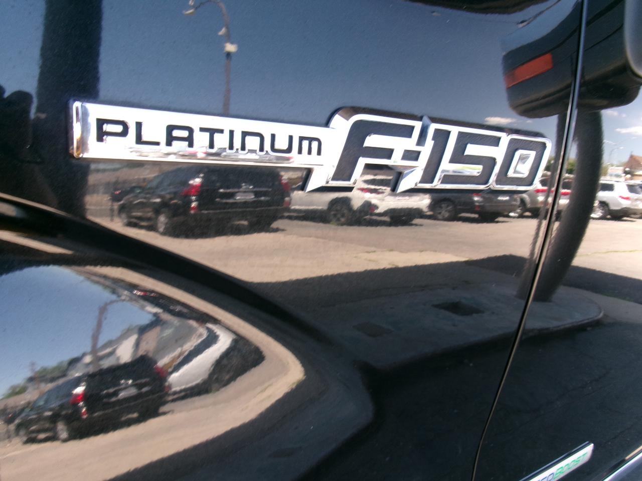 Ford F-150 4WD SuperCrew 145" Platinum 2013